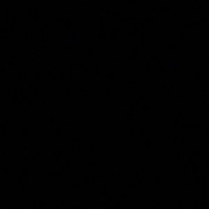 Meet your Posher, Leslie ann